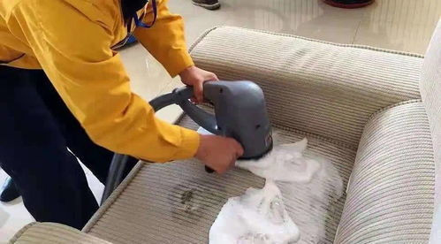 黄马褂曹操到,紧随潮流走上创新之路