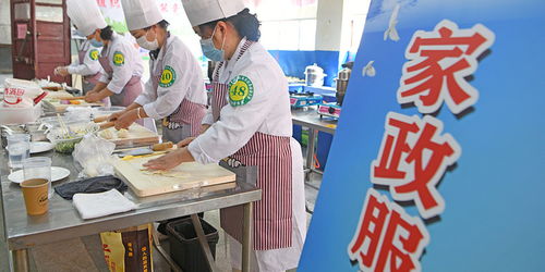 家政服务行业整体仍 大而不优 ,代表建议推进提质扩容规范发展