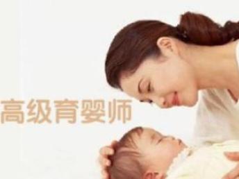 专业育婴师育儿嫂 十年老店，专注高级家政服务